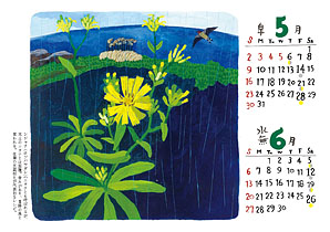 5～6月