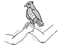 イラスト-2